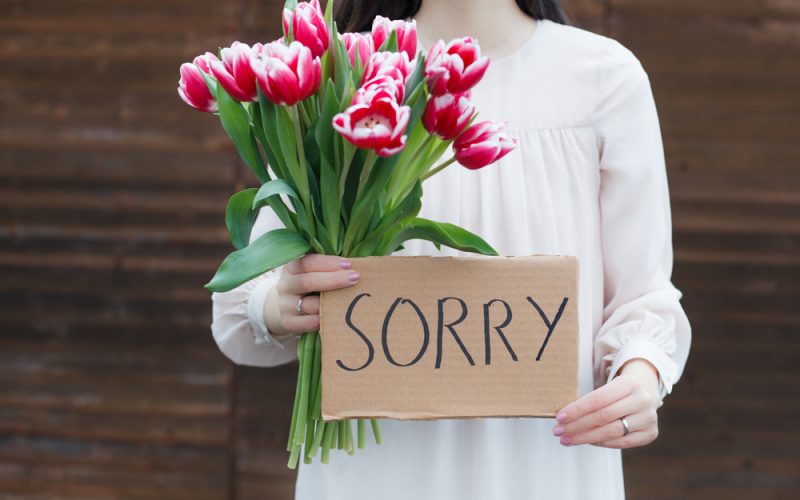 Bunga Untuk Mengatakan Maaf