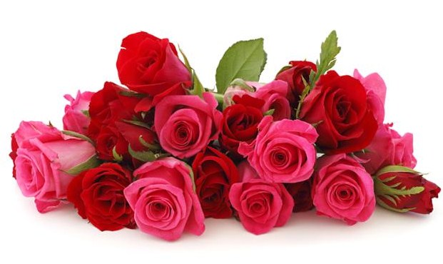 Berikut Bunga Romantis Untuk Suatu Acara