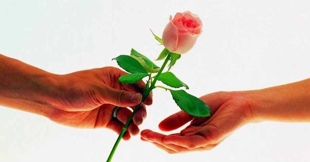 Mari Nyatakan Cinta Bersama Bunga Spesial