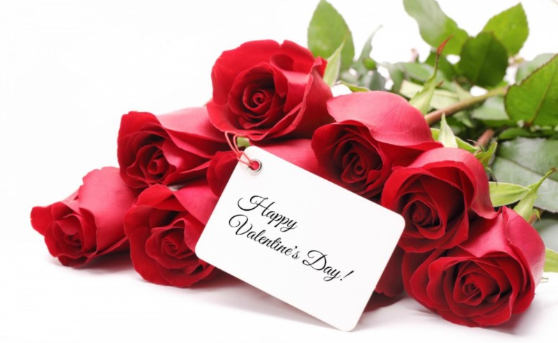 9 Jenis Bunga Terbaik Untuk Hari Valentine Sebagai Tanda Cinta Kepada Pasangan